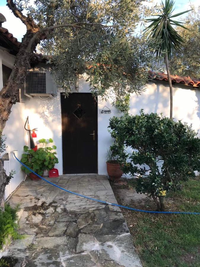 Aparthotel Oasis Skiathos Exterior foto